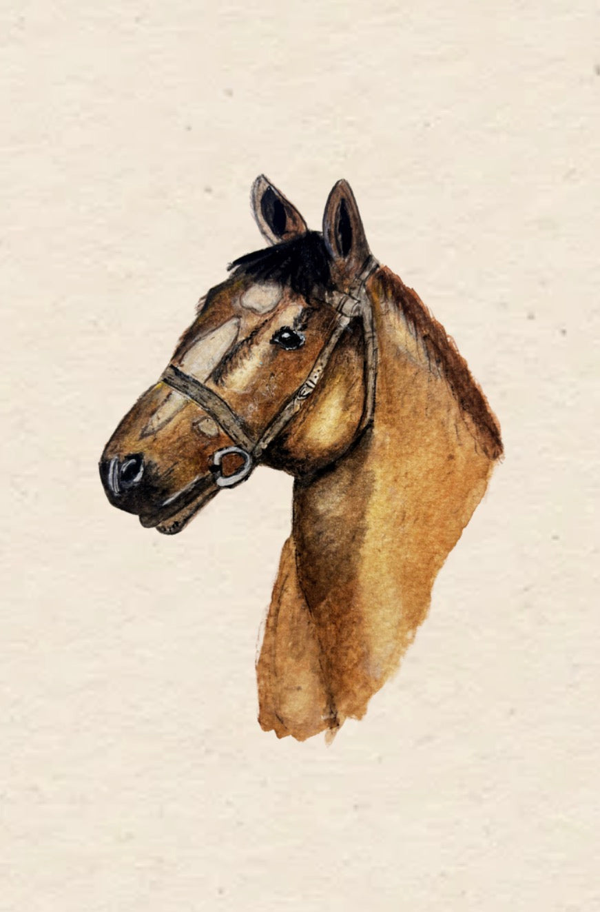 Original Watercolor Brown “Beauty” Horse Painting