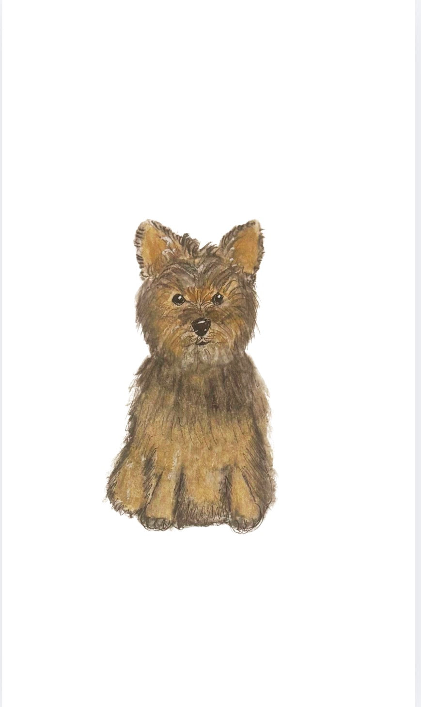 Original Watercolor Yorkie Painting - Puppy Painting